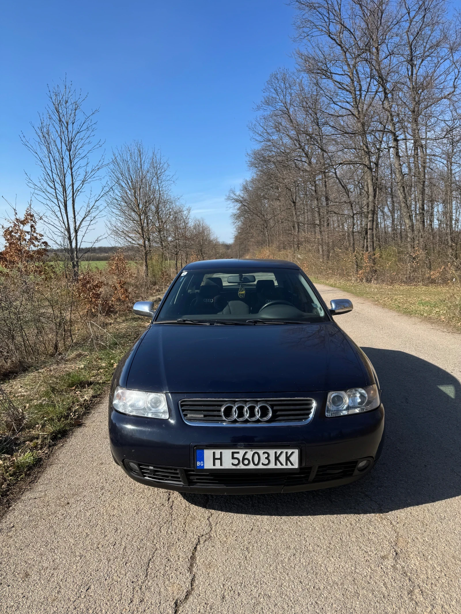 Audi A3 1.9tdi pd 300+ 4x4 - изображение 2