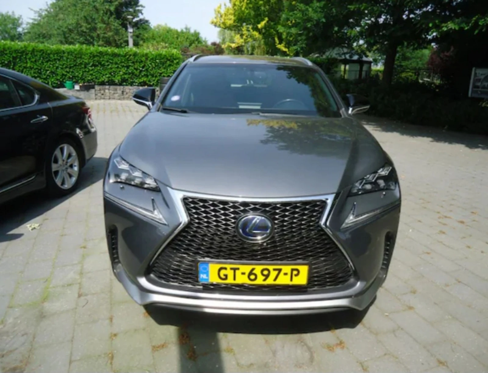 Lexus NX 300h F-Sport Hybrid 4x4, снимка 3 - Автомобили и джипове - 54961482