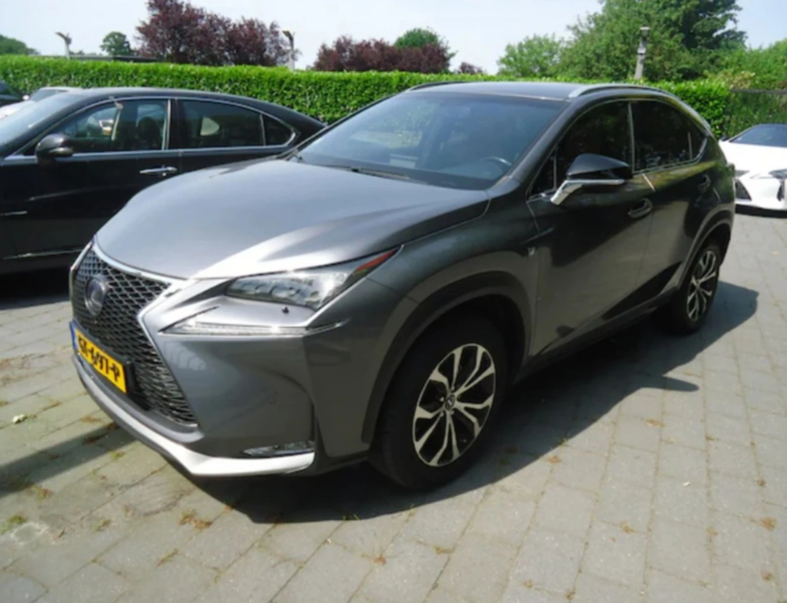 Lexus NX 300h F-Sport Hybrid 4x4