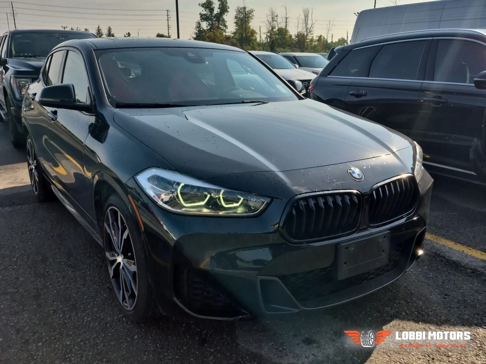 BMW X2, снимка 2 - Автомобили и джипове - 55928413
