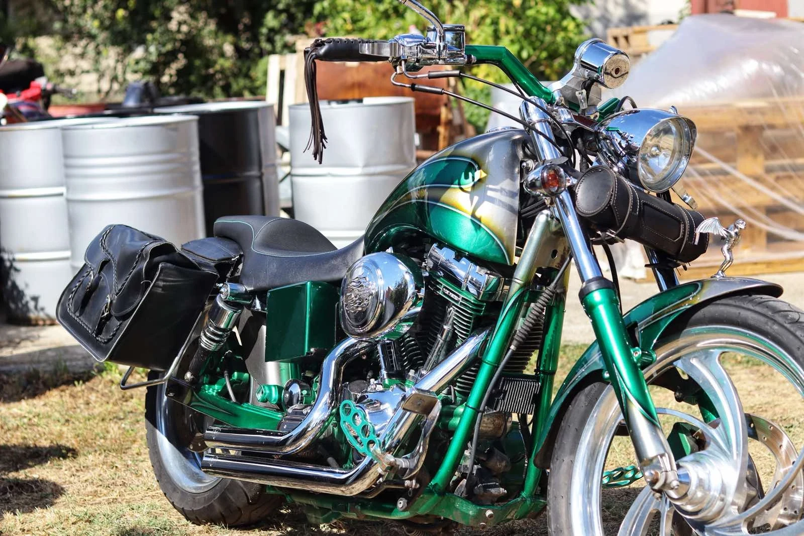 Harley-Davidson Dyna DYNA WILDE GLIDE - Screamin Eagle - изображение 2
