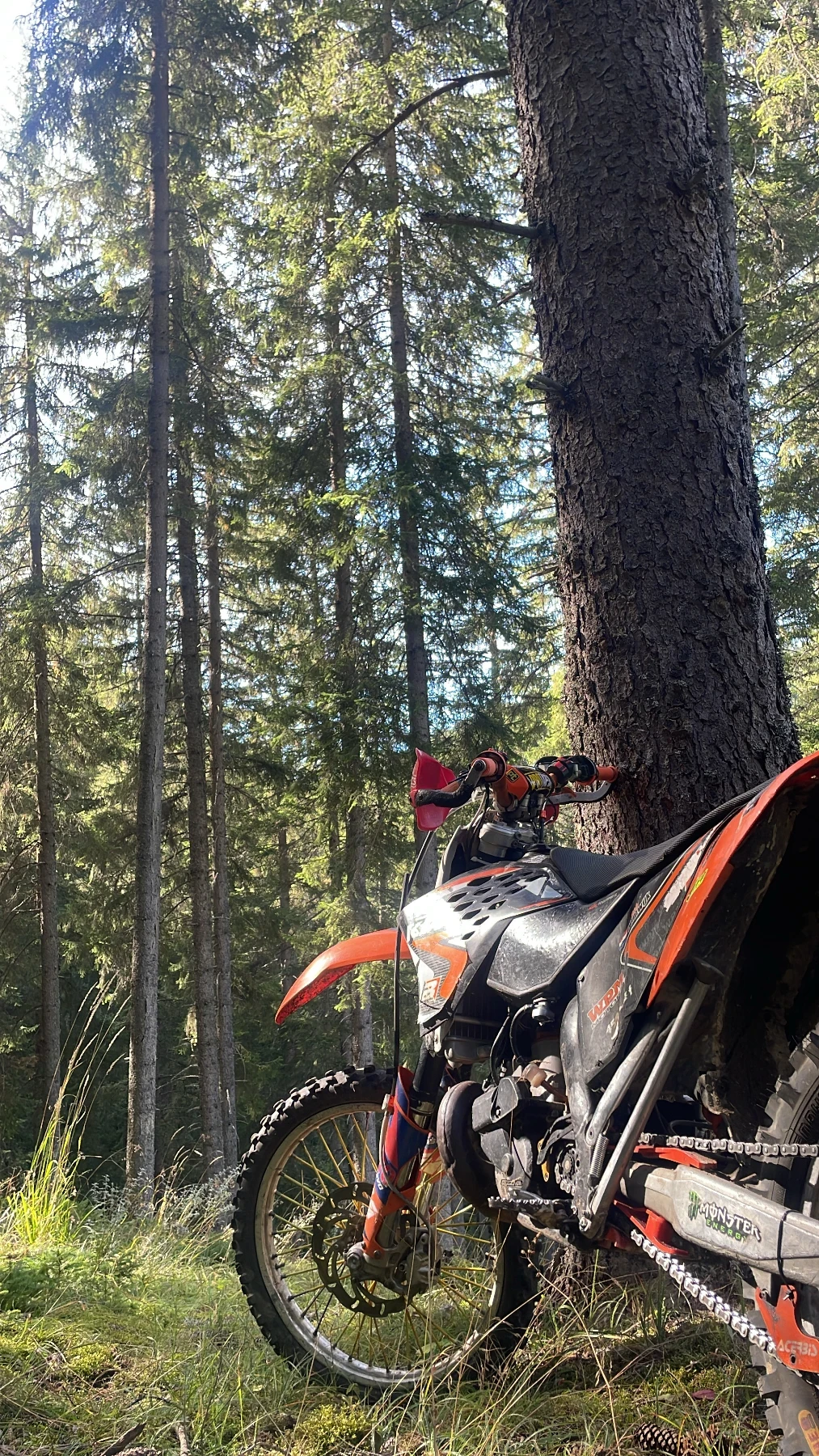 Ktm 300 ��� | Mobile.bg � ����������� 2