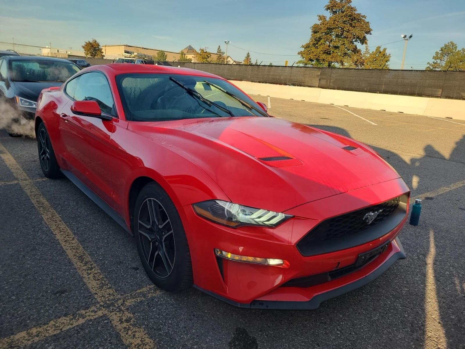 Ford Mustang ECOBOOST * * CARFAX * * АВТО КРЕДИТ * *  - изображение 2