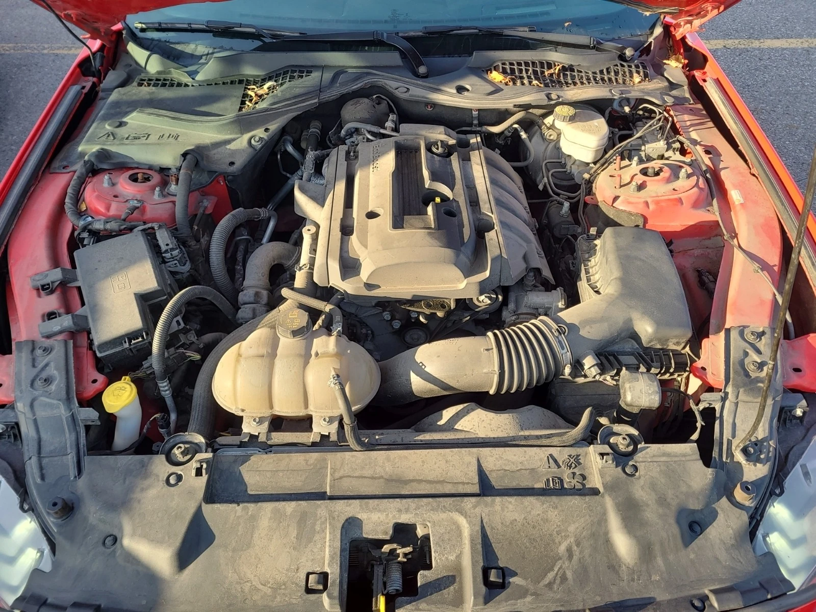 Ford Mustang ECOBOOST * * CARFAX * *   * *  | Mobile.bg   11