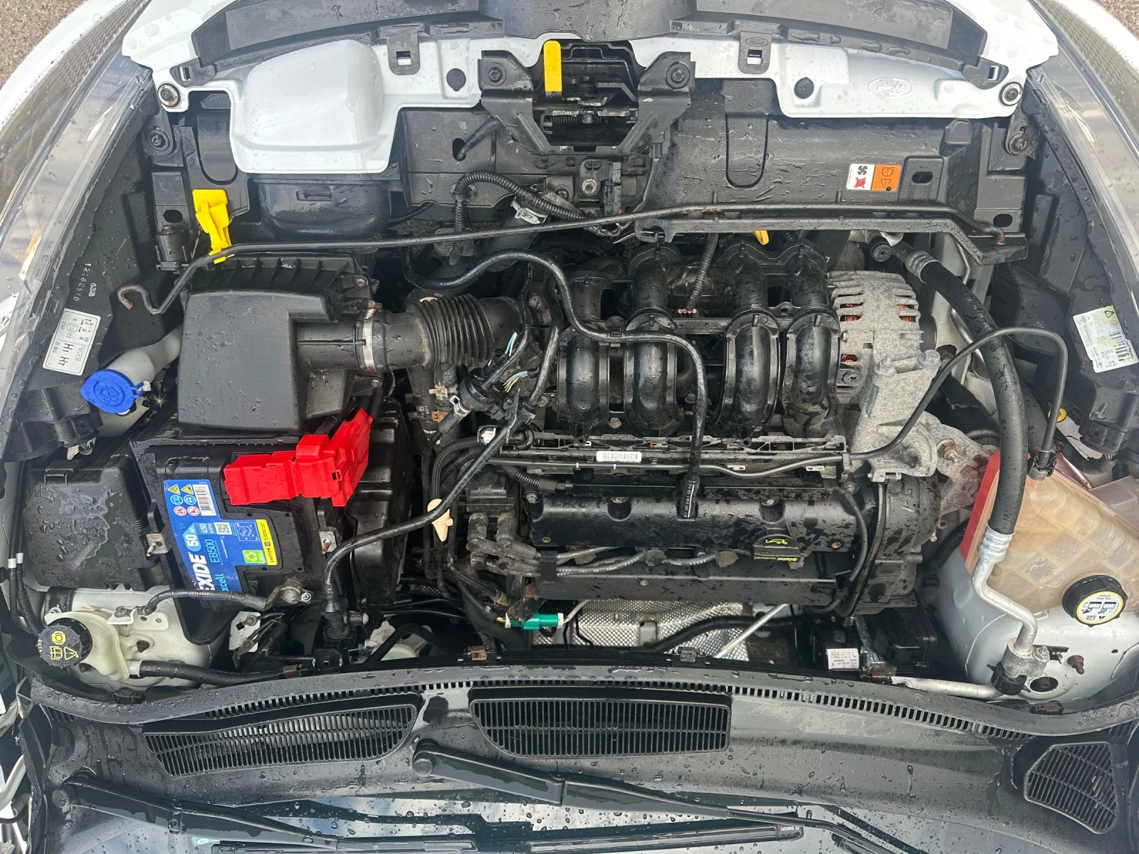Ford Fiesta 1.25, снимка 15 - Автомобили и джипове - 56064167