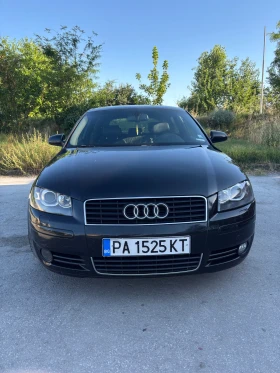     Audi A3 8P