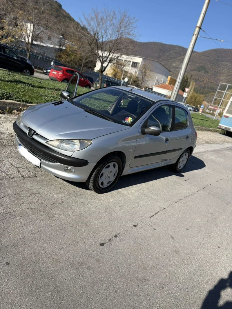 Peugeot 206 2.0 hdi, снимка 2 - Автомобили и джипове - 52416447