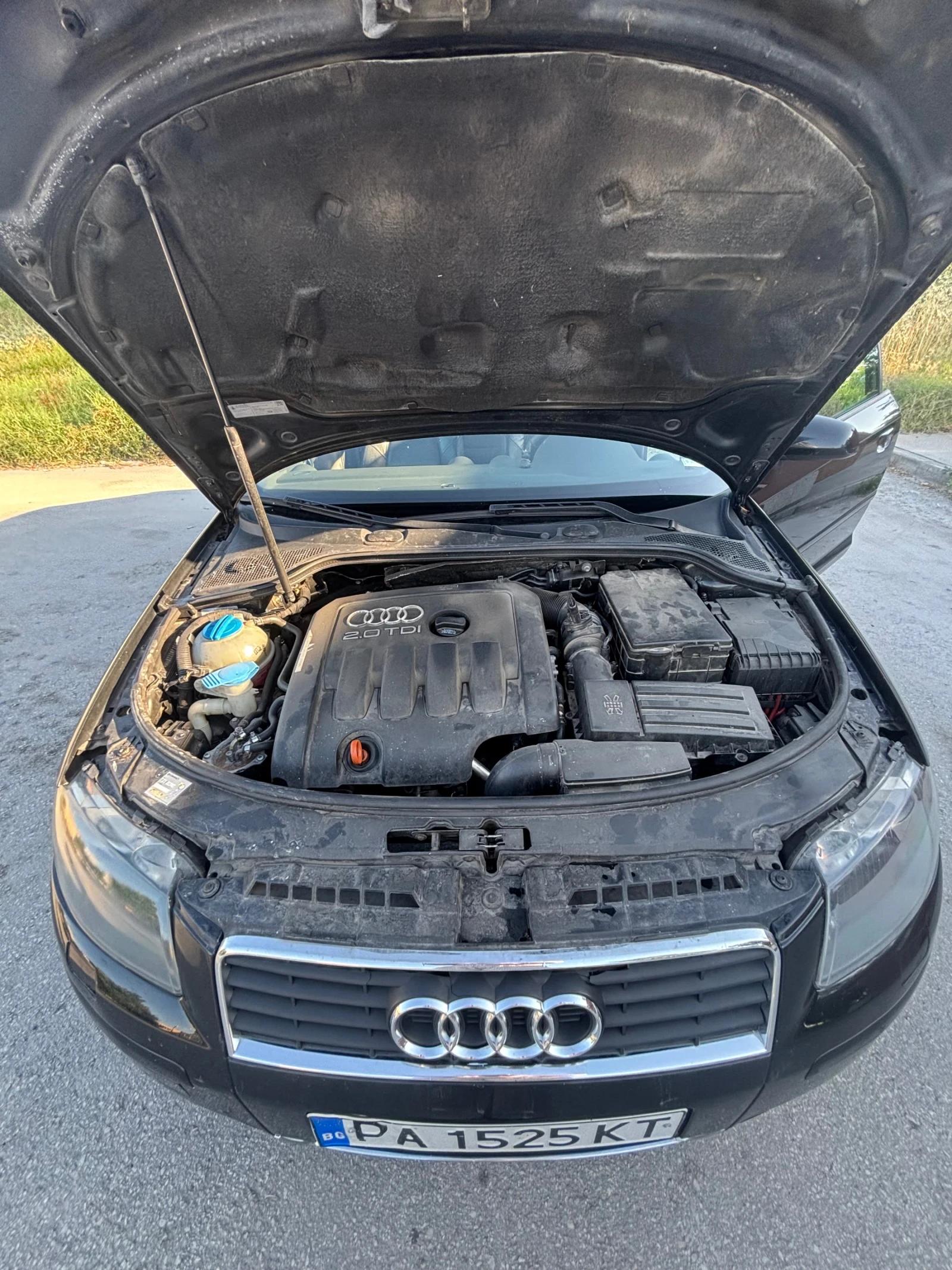 Audi A3 8P - изображение 7