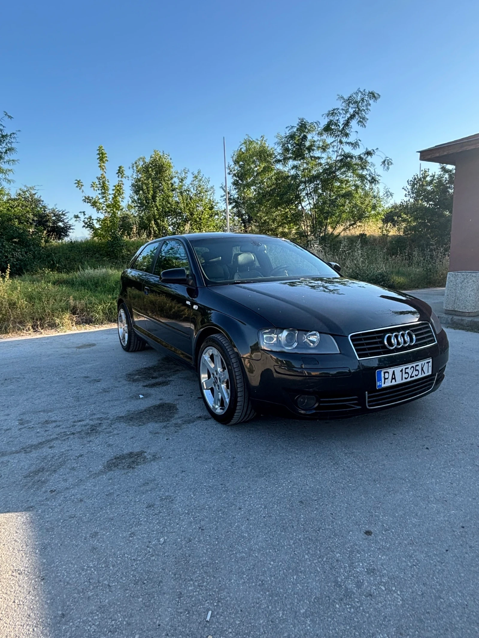 Audi A3 8P - изображение 2