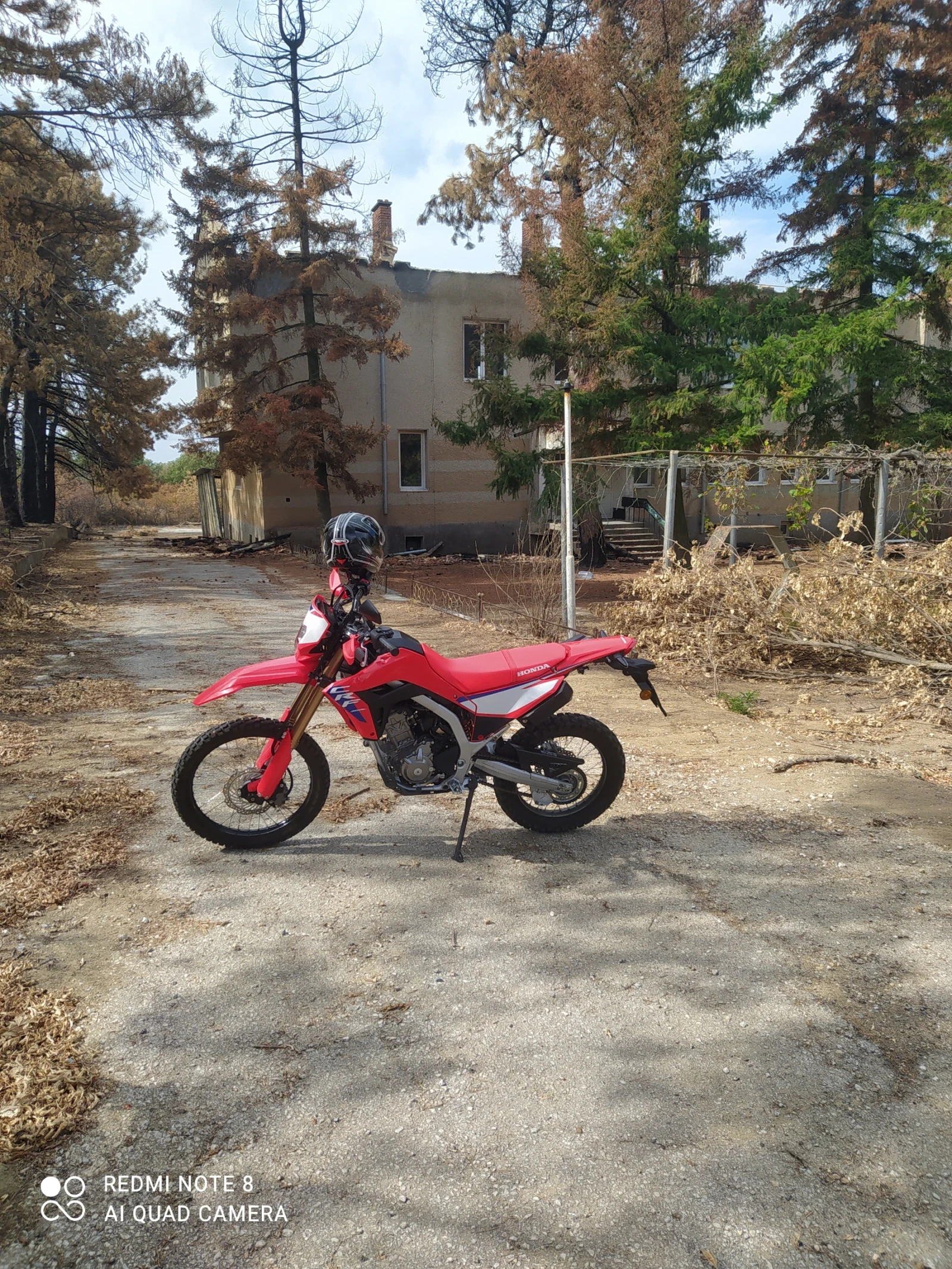 Honda Crf 300l - изображение 2
