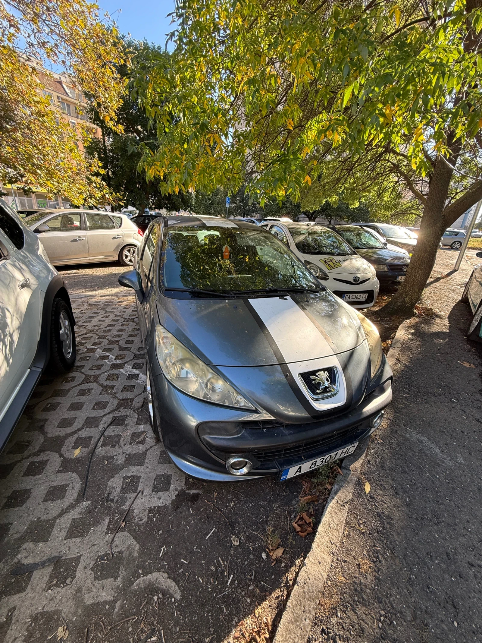 Peugeot 207