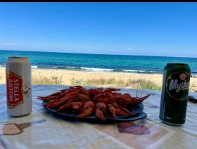 Кемпер Mitsubishi L200 | Auto.bg — изображение 11