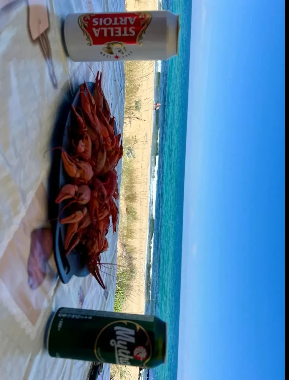 ������ Mitsubishi L200 | Mobile.bg � ����������� 11