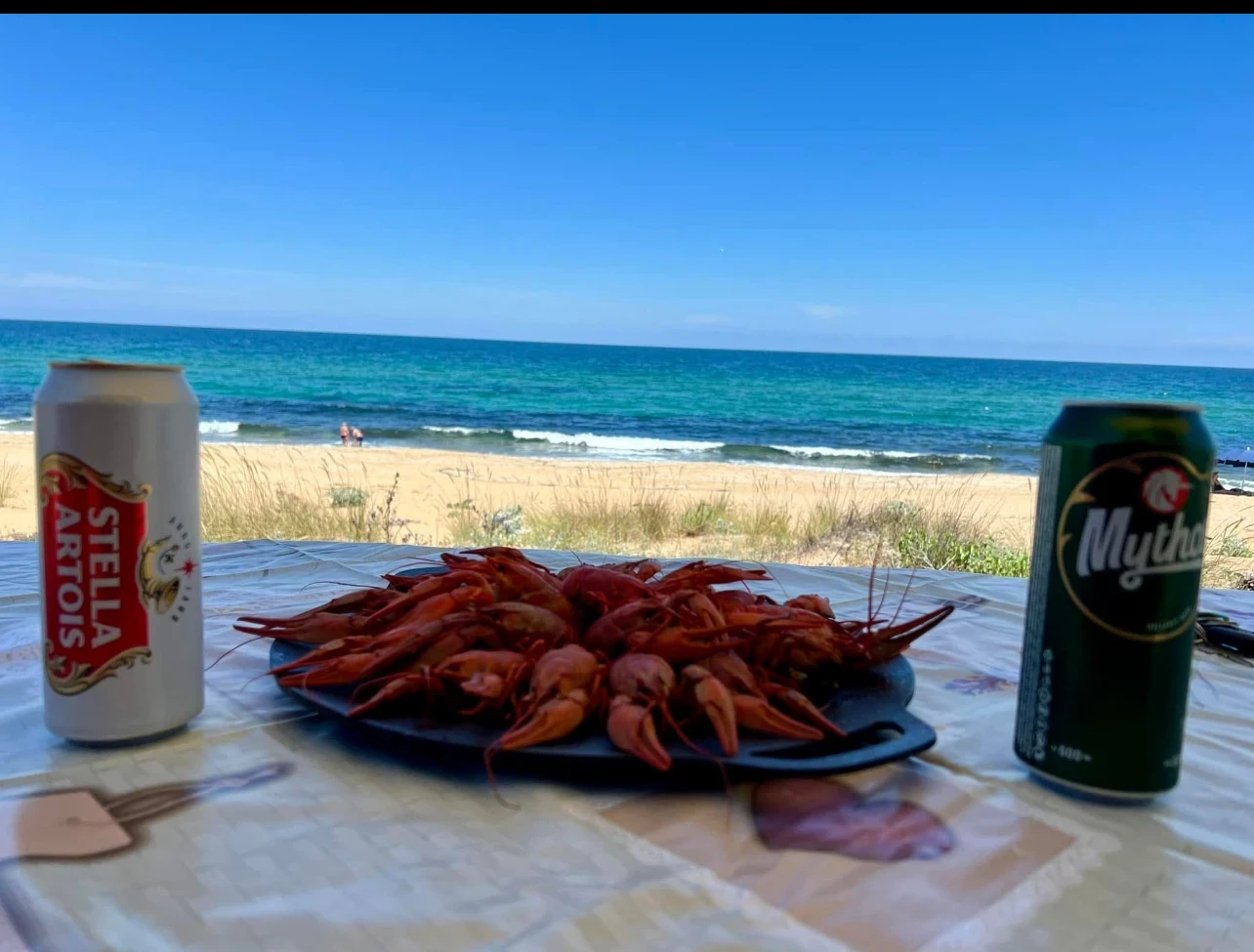 Кемпер Mitsubishi L200, снимка 11 - Каравани и кемпери - 54063429