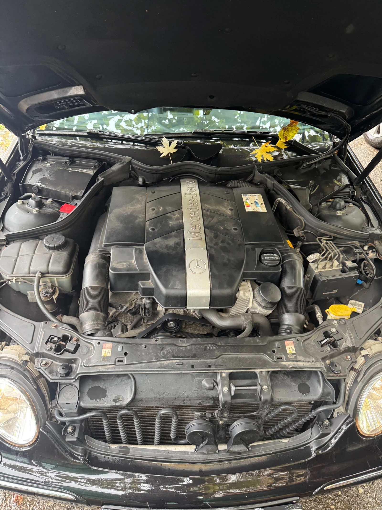 Mercedes-Benz C 320  - изображение 8