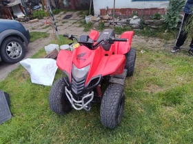 Dinli Centhor ATV , снимка 1