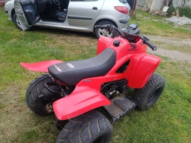 Dinli Centhor ATV , снимка 5