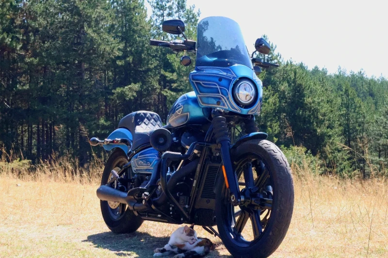 Harley-Davidson Softail FXBB Clubstyle , снимка 2 - Мотоциклети и мототехника - 50622755