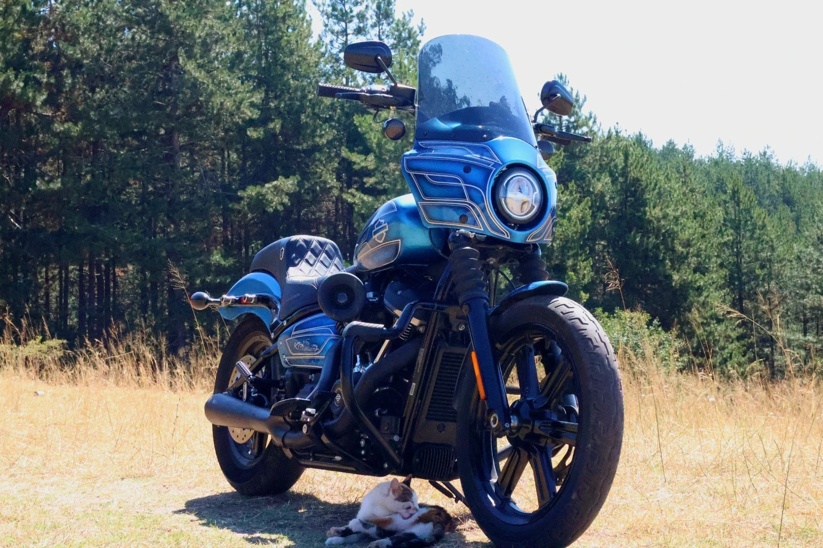 Harley-Davidson Softail Street Bob Clubstyle 107 - изображение 2
