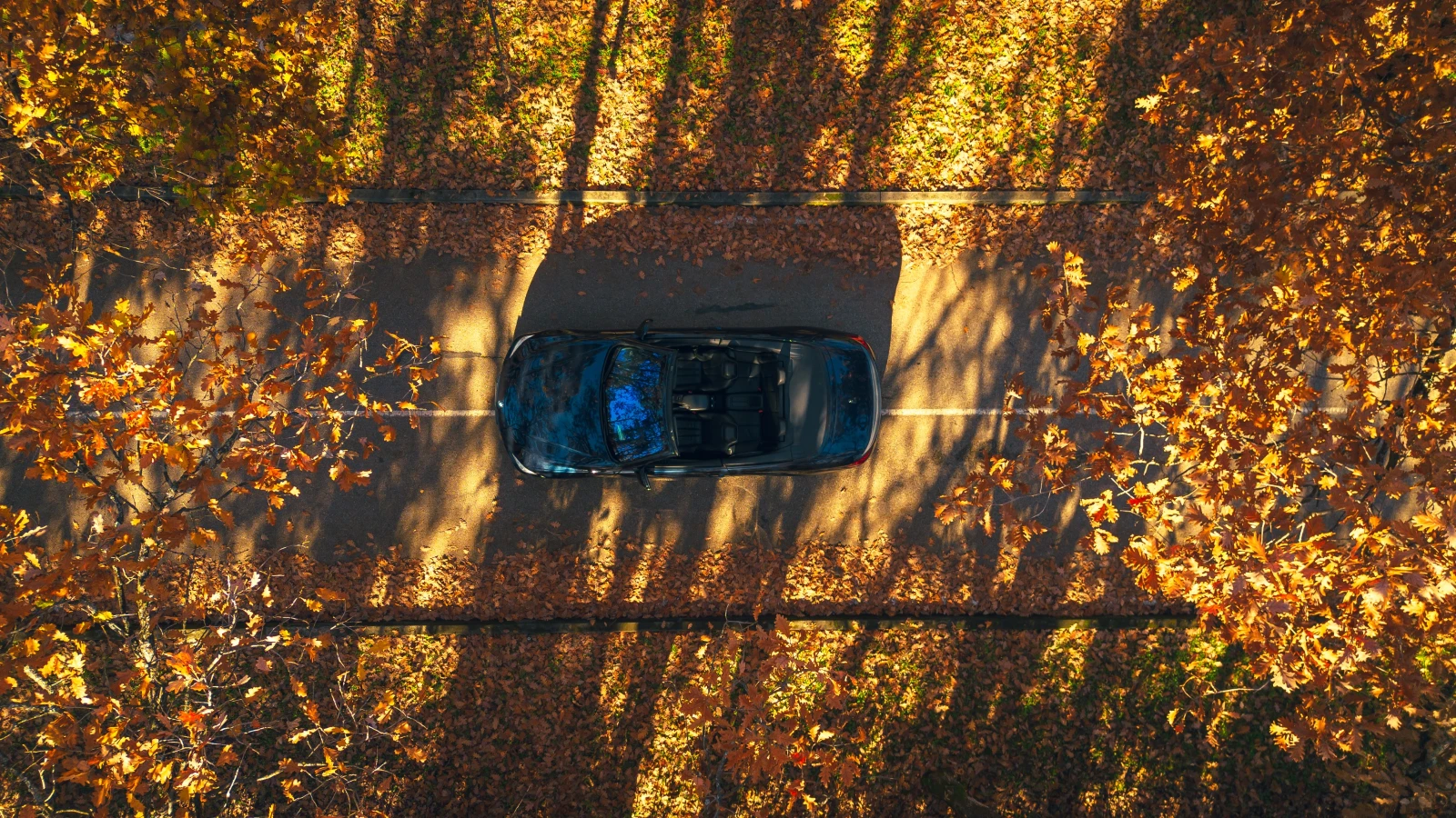 BMW 440 B58 FULL  - изображение 9