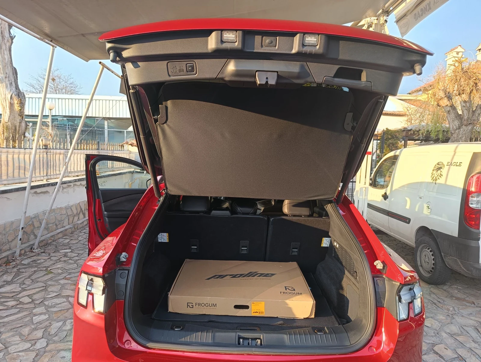 Ford Mustang Mach-E GT performance  - изображение 8