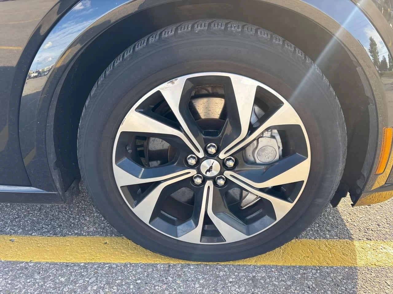Ford Mustang Mach-E Premium  CARFAX, снимка 7 - Автомобили и джипове - 55788651
