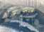 Обява за продажба на Ford Ranger 2.3 XLT Sport EcoBoost Super Cab ~77 000 лв. - изображение 4