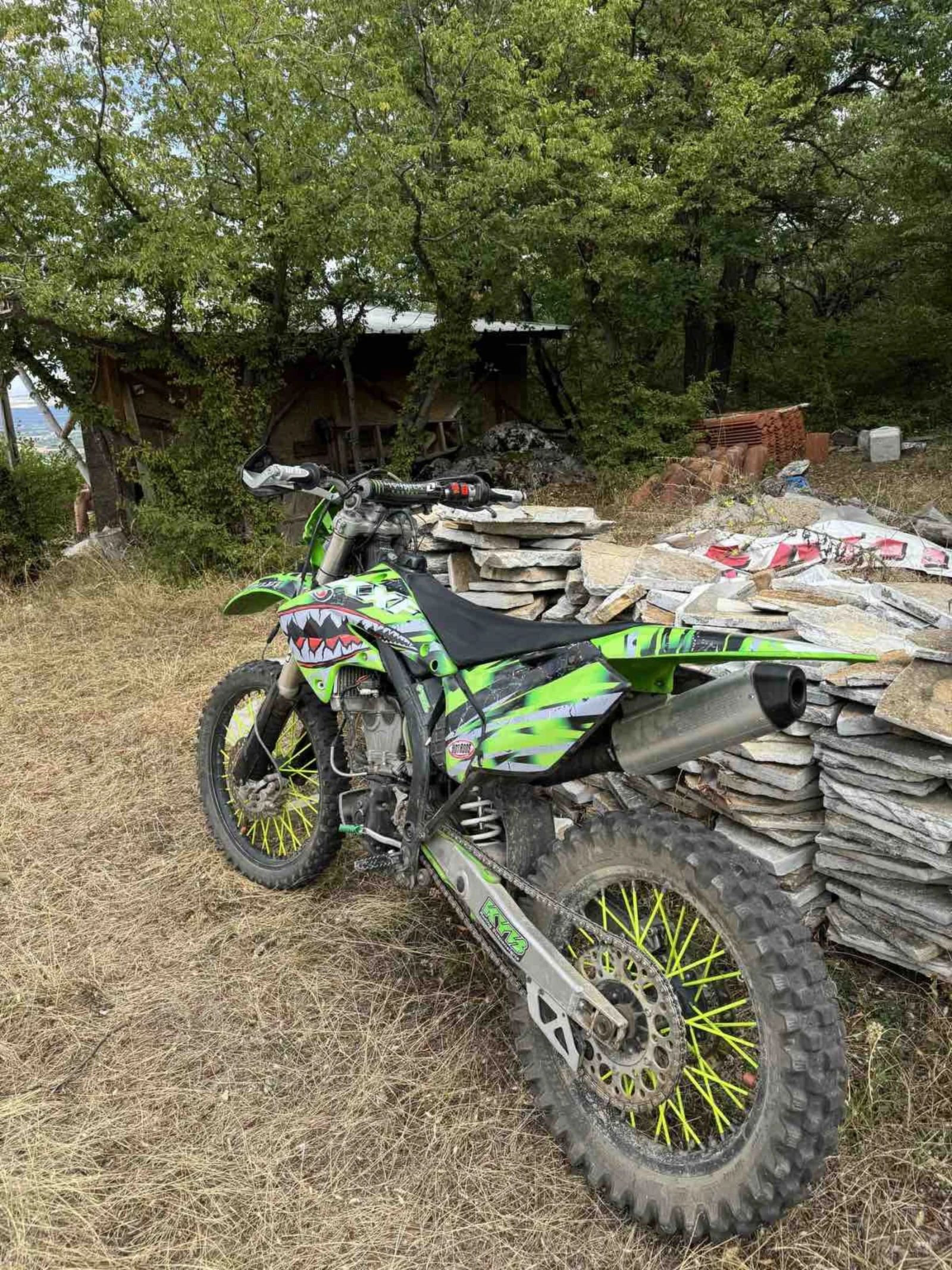 Kawasaki Kfx  - изображение 4