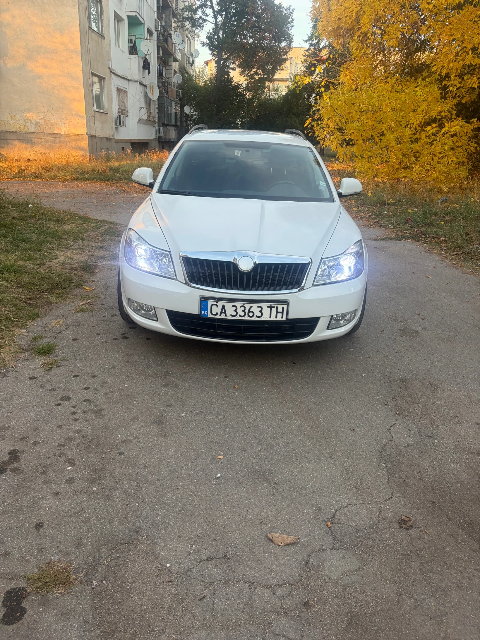 Skoda Octavia, снимка 2 - Автомобили и джипове - 56585479