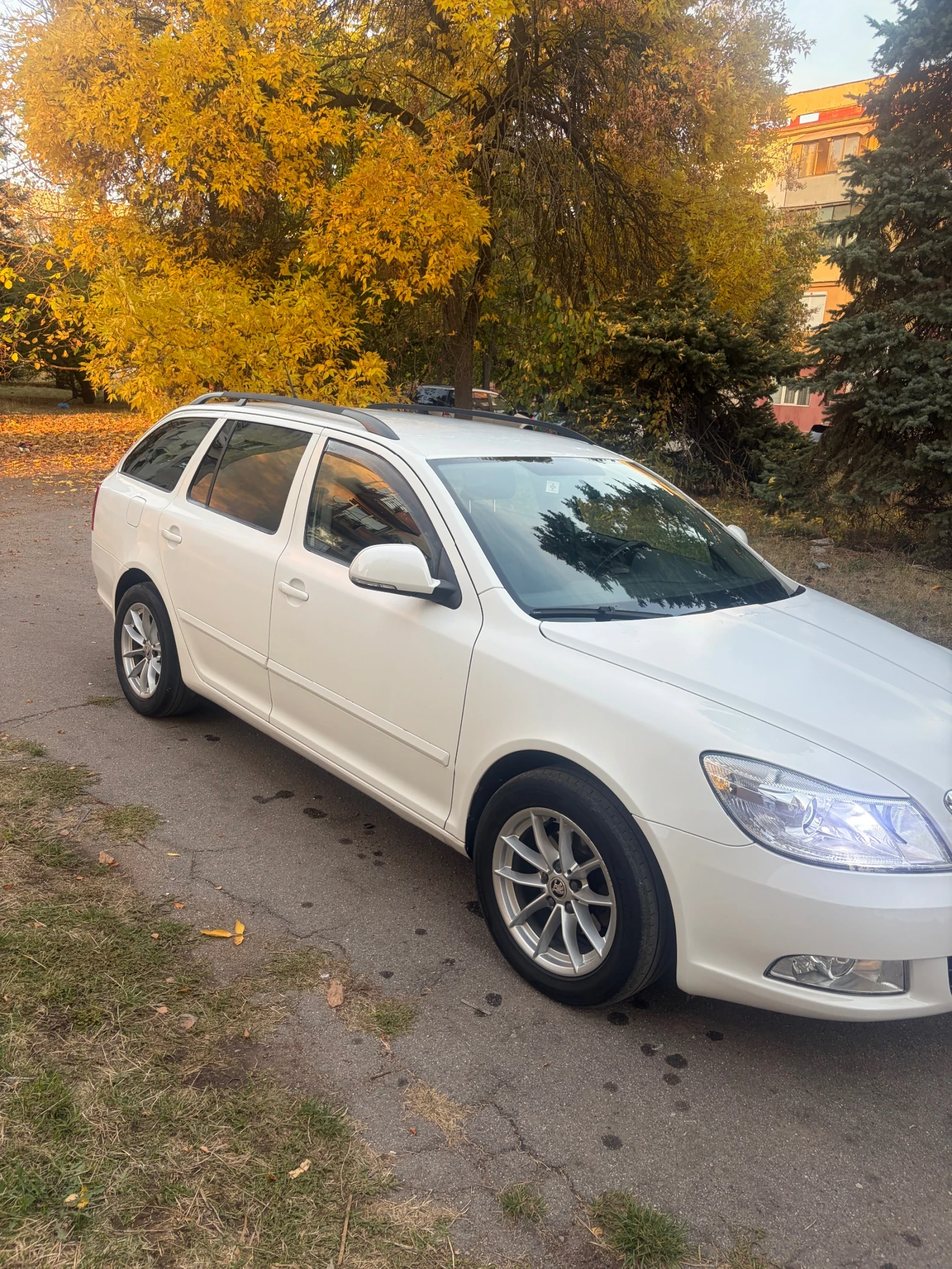 Skoda Octavia, снимка 3 - Автомобили и джипове - 56585479