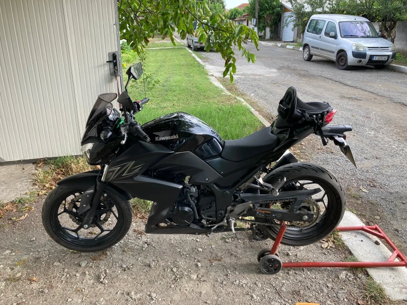 Kawasaki Z, снимка 7 - Мотоциклети и мототехника - 51595112
