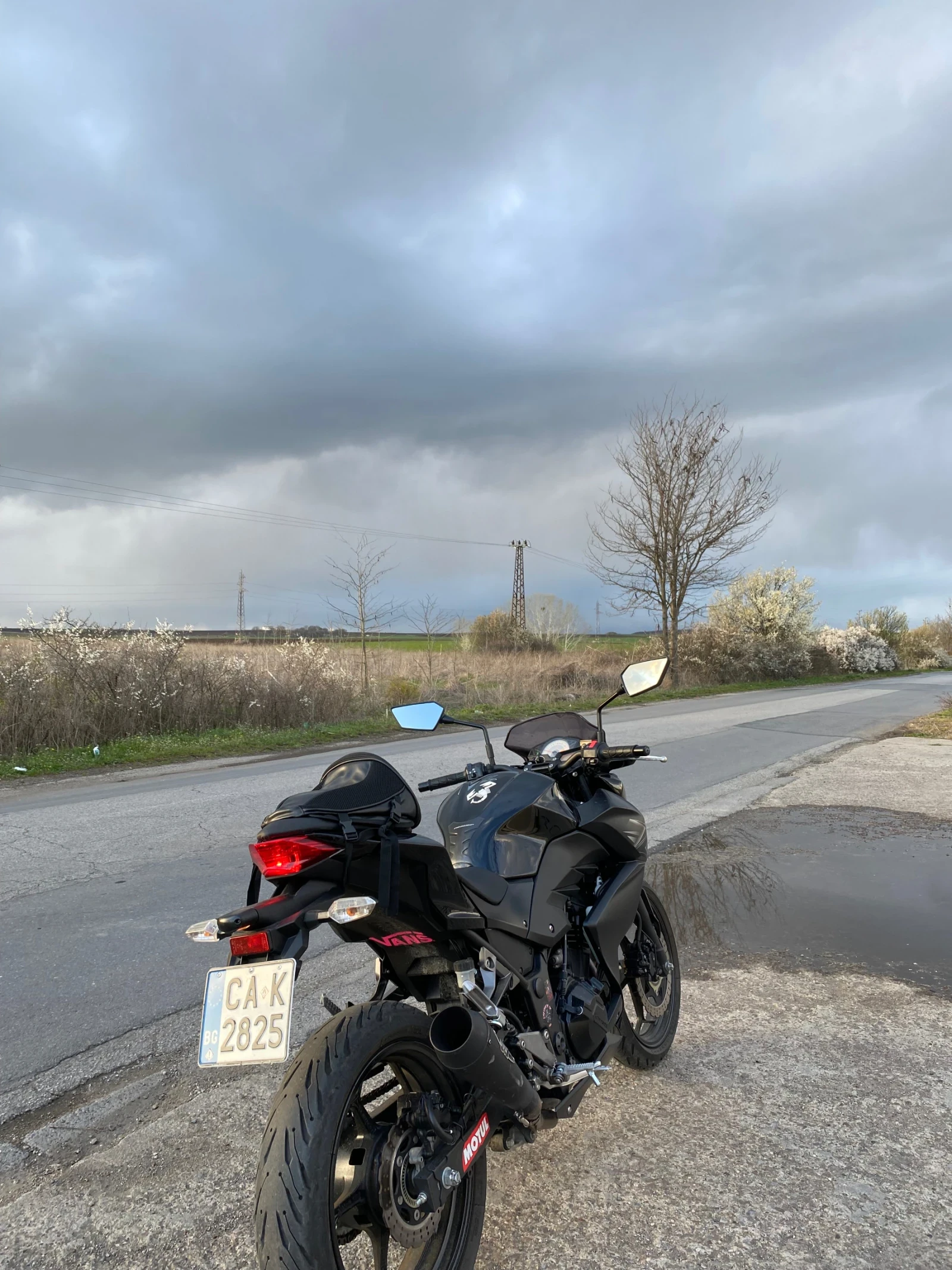 Kawasaki Z  - изображение 6
