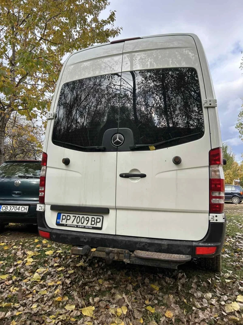 Mercedes-Benz Sprinter 319, снимка 10 - Бусове и автобуси - 52478370