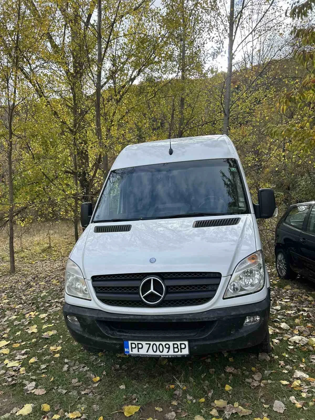Mercedes-Benz Sprinter 319 | Mobile.bg � ����������� 1