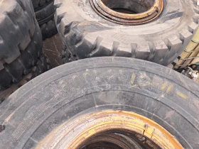 Друг вид Български Гуми, снимка 1