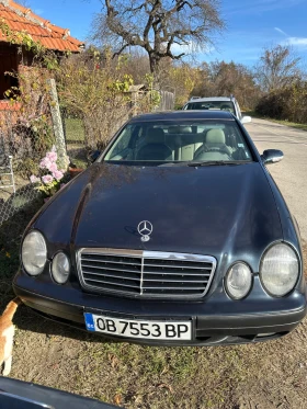     Mercedes-Benz CLK