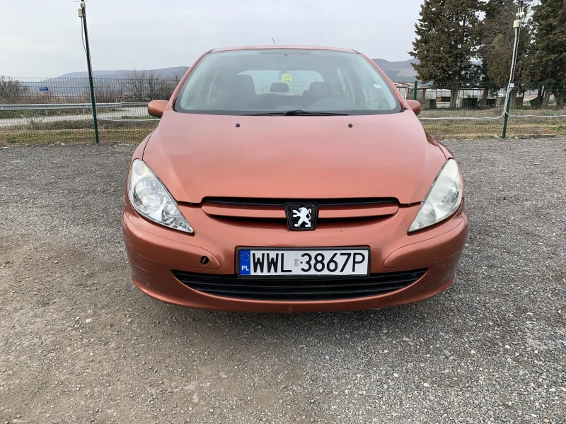 Peugeot 307 2.0 HDI, снимка 2 - Автомобили и джипове - 49507047