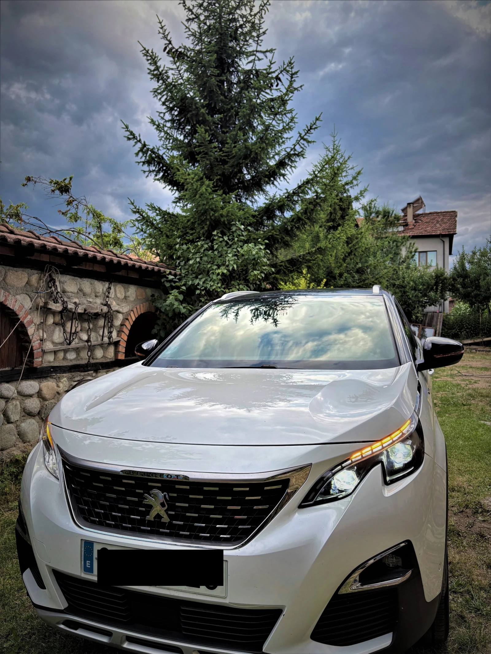 Peugeot 3008 Peugeot 3008 2.0 Blue-HDi GT