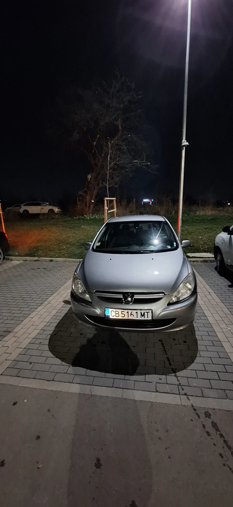 Peugeot 307, снимка 6 - Автомобили и джипове - 52473560