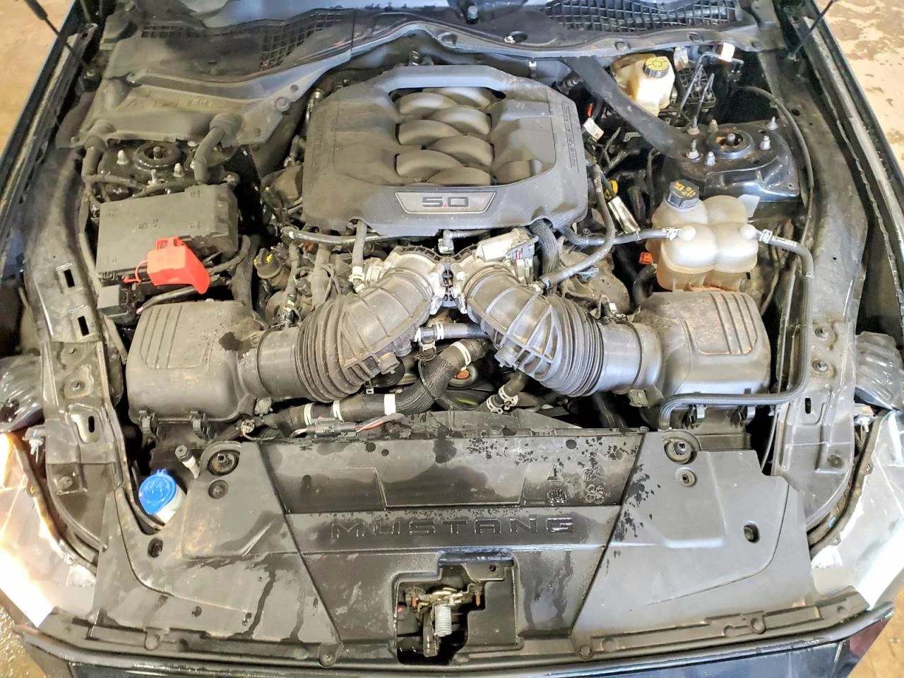 Ford Mustang 5.0l Gt, снимка 11 - Автомобили и джипове - 54244316