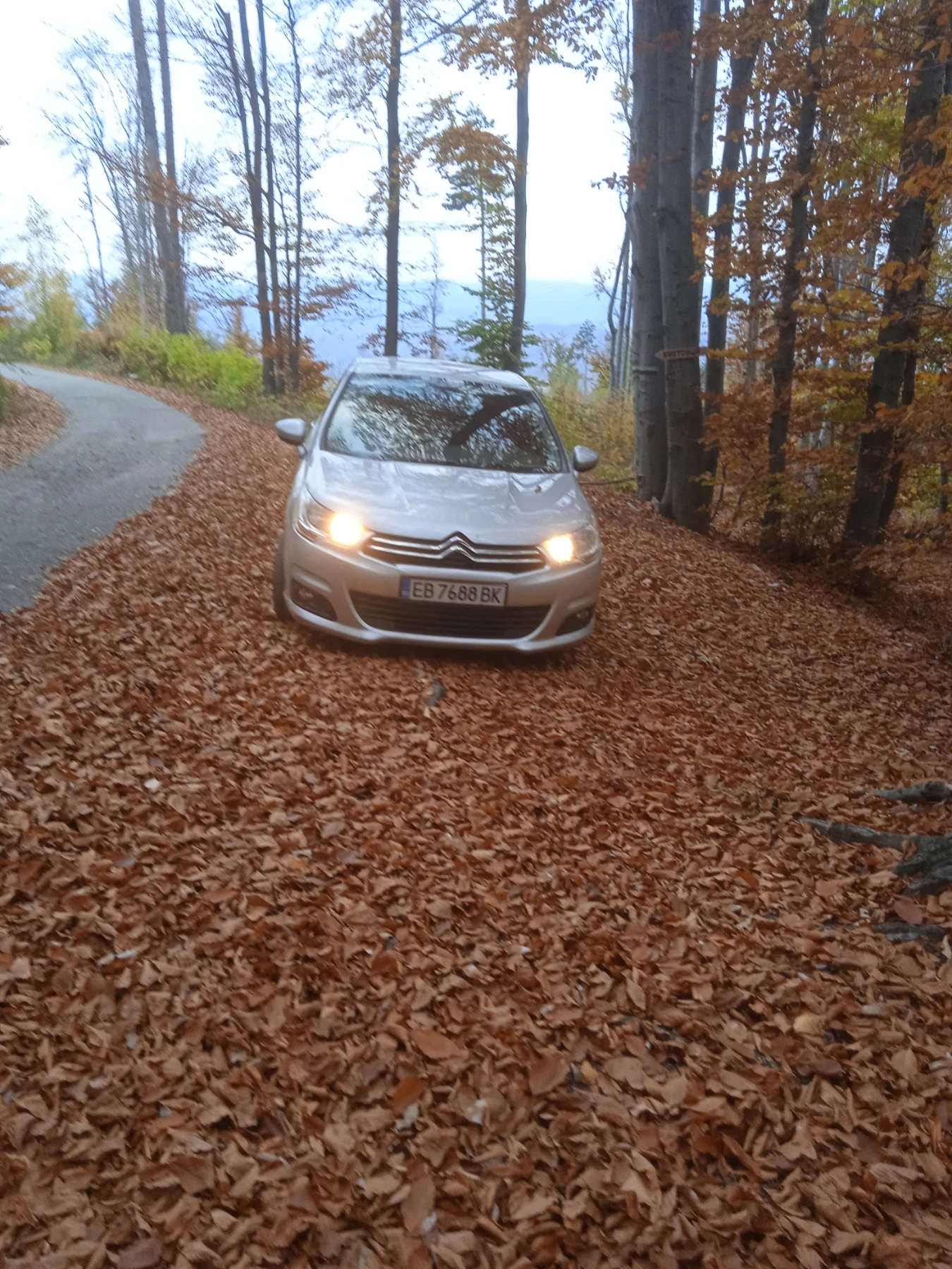 Citroen C4, снимка 1