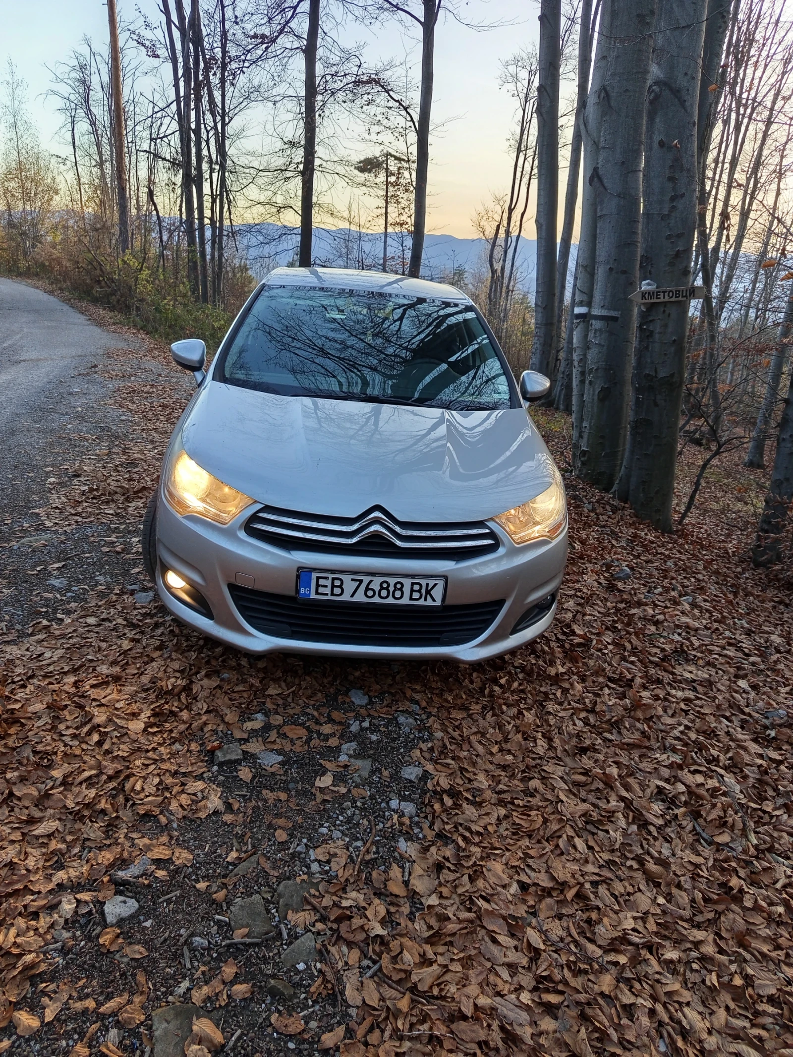 Citroen C4  - изображение 2