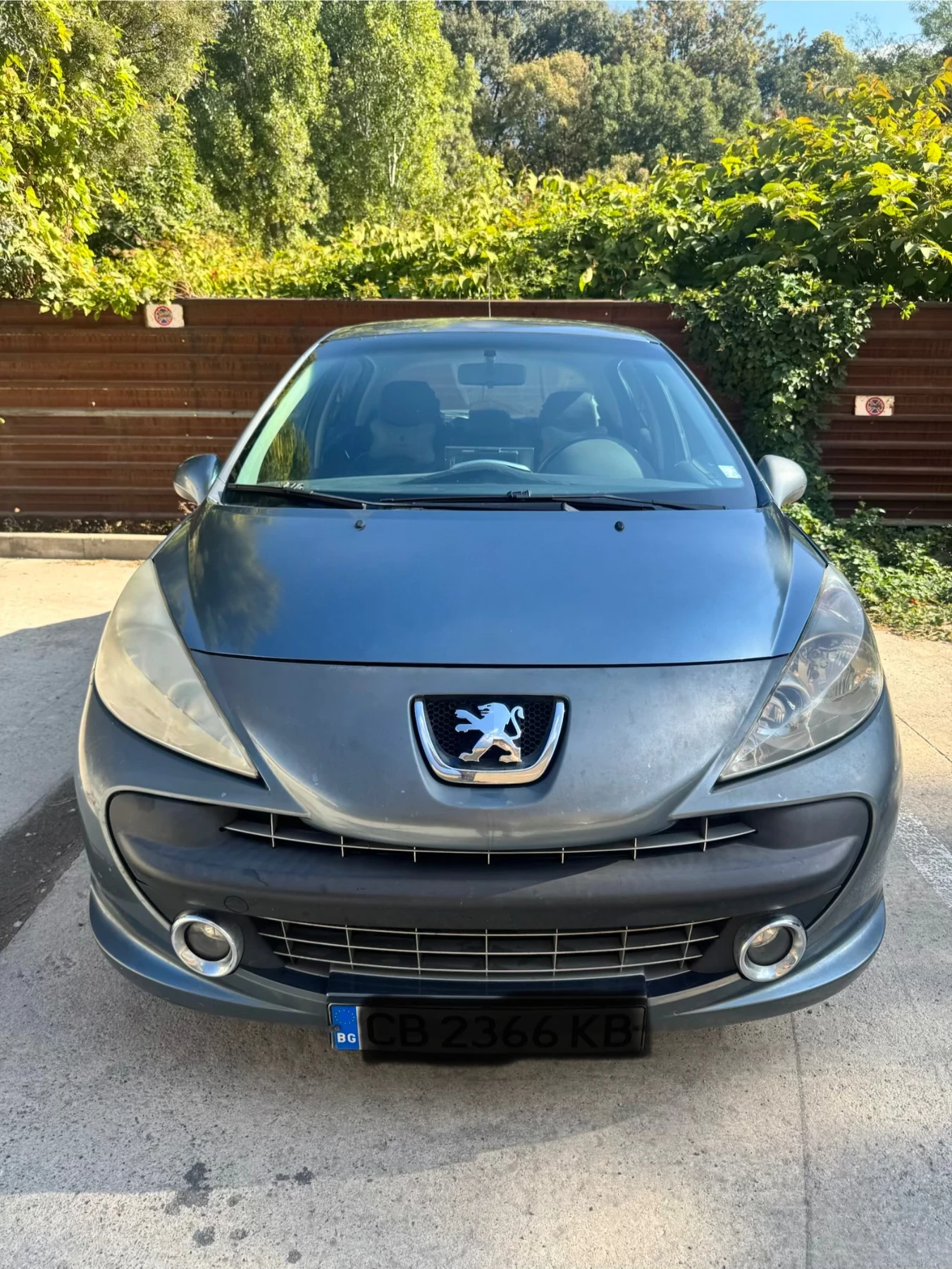 Peugeot 207