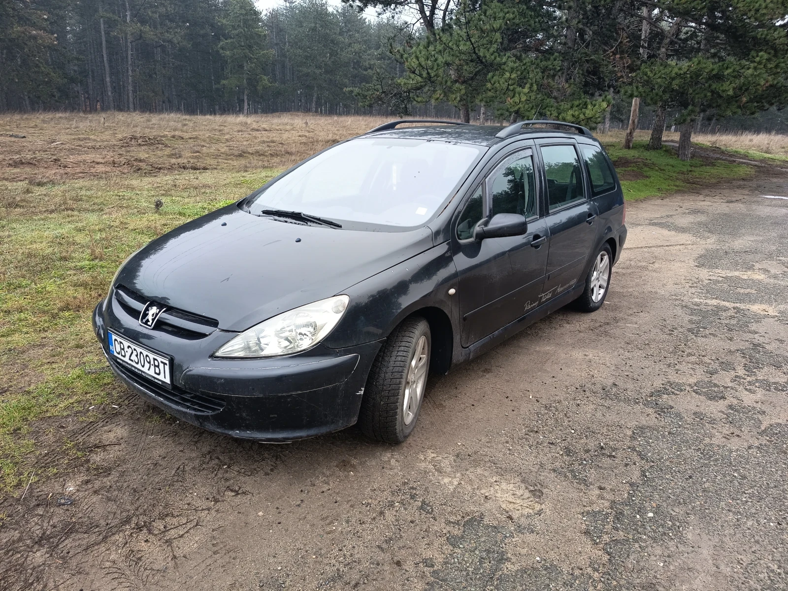 Peugeot 307 2.0 HDI, снимка 1
