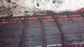 Торачка Друга марка BICCHI BSR 50, снимка 10