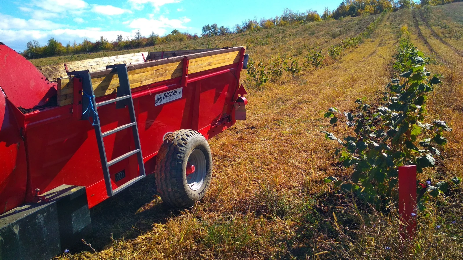 Торачка Друга марка BICCHI BSR 50 - изображение 2