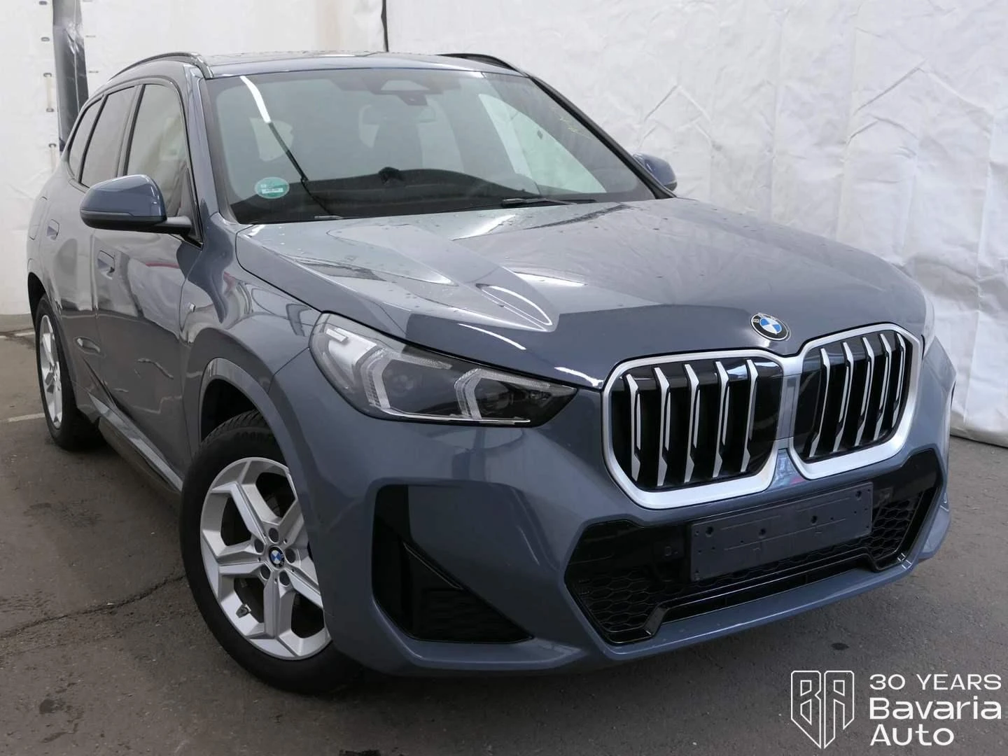 BMW X1 20d xDrive M Sport Paket Steptronic, снимка 4 - Автомобили и джипове - 54230268