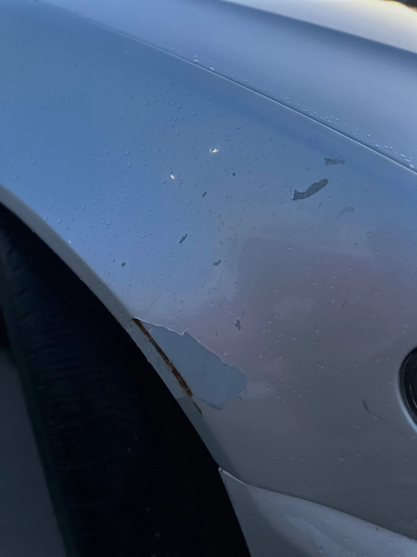 BMW 320 Bmw 320d+ , снимка 12 - Автомобили и джипове - 54336785