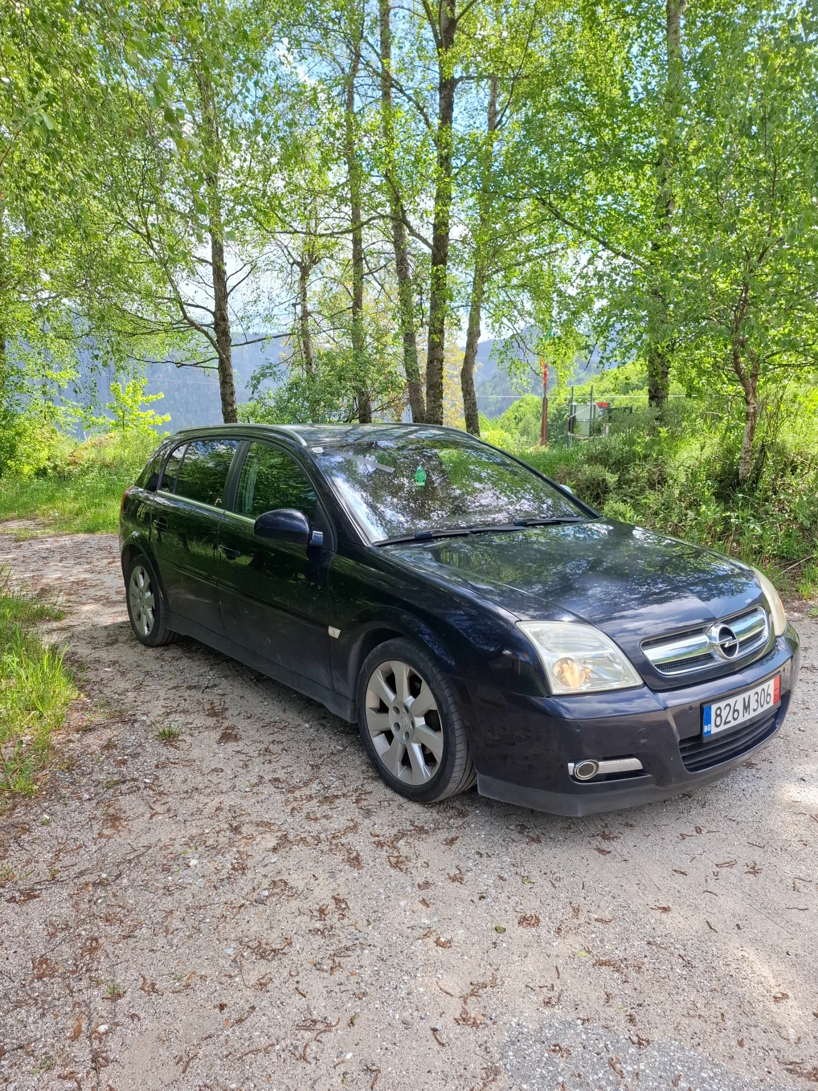 Opel Signum 1.9 CDTI | Mobile.bg � ����������� 3