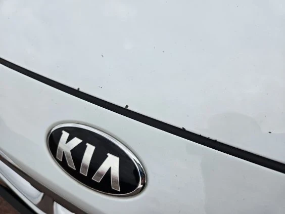 Kia Ceed 1, 4 LPG  - изображение 7